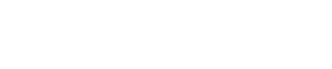 Partner 2