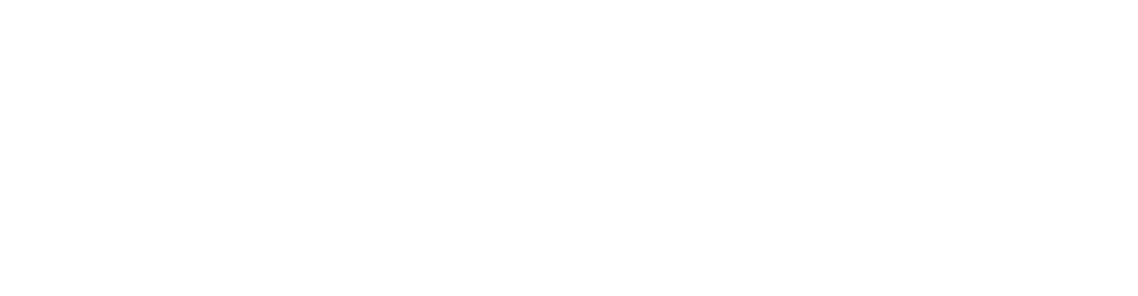 Partner 5