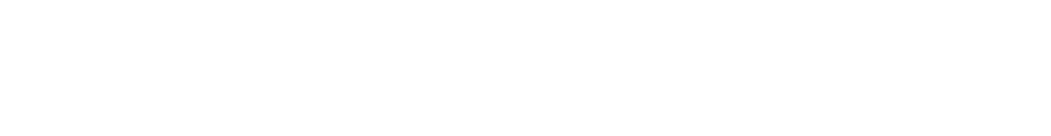 Partner 3