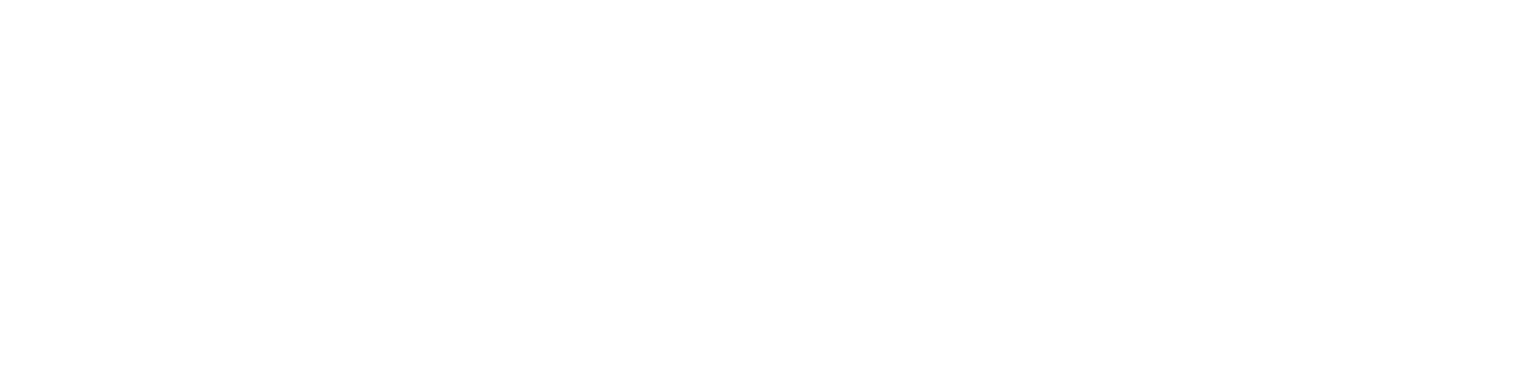 Partner 5