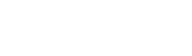 Partner 3