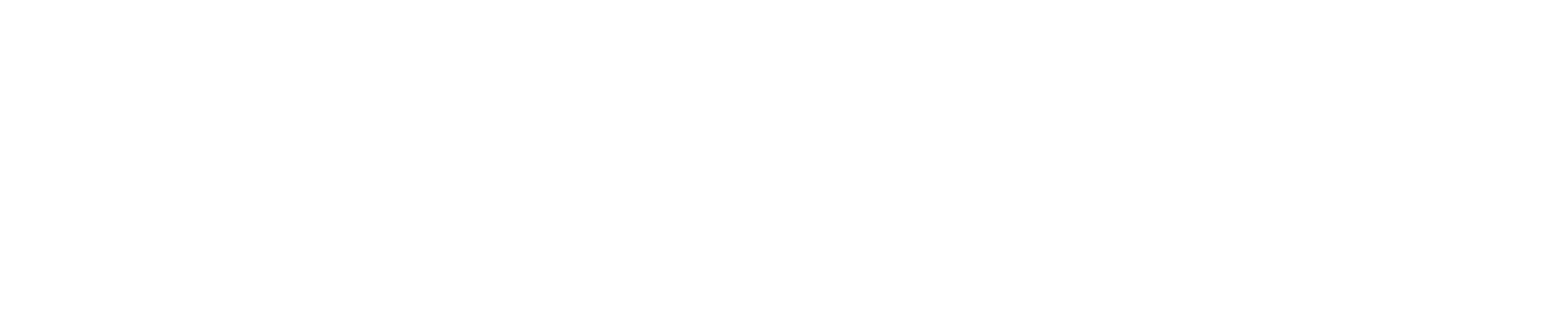 Partner 6