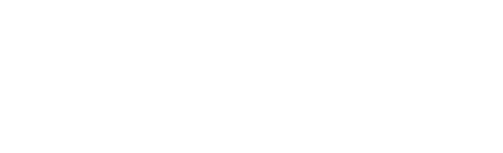 Partner 7