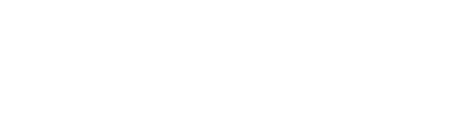 Partner 3