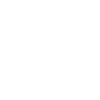 NETWORKING Partner 4