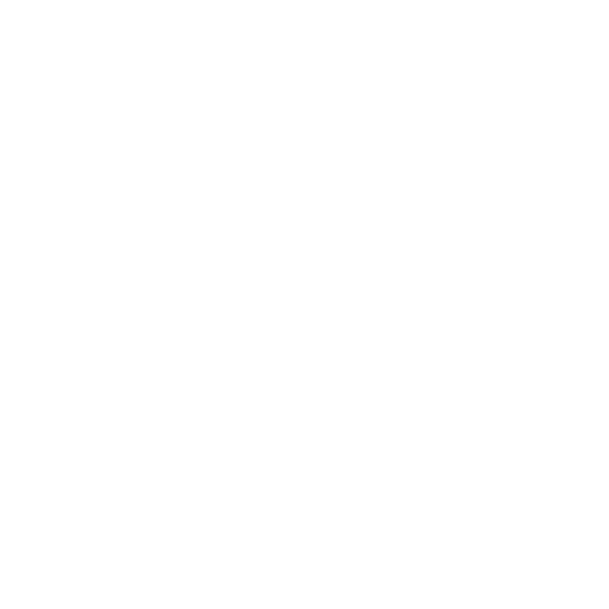 Partner 4