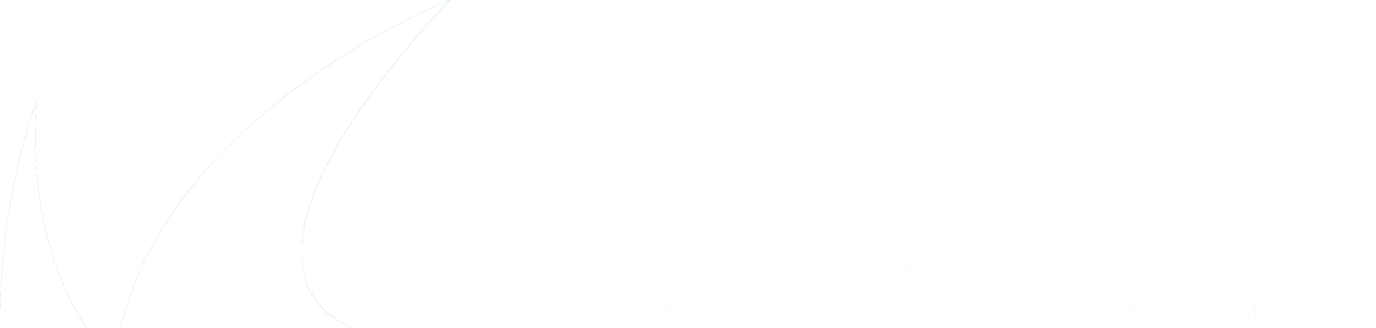 Barracuda Email Security Gateway logo