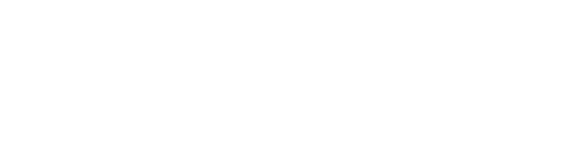 Belkin Surge Protectors logo