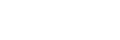 Partner 5