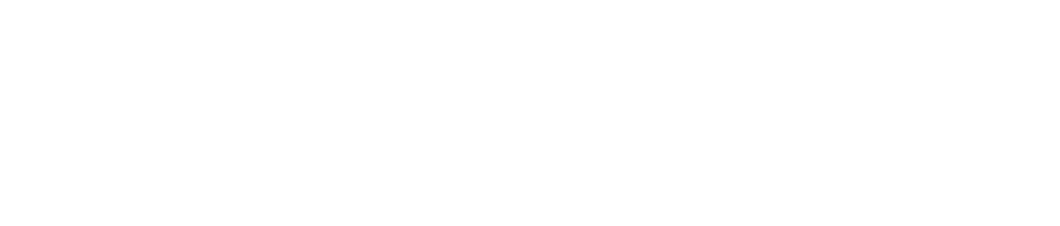 Partner 7